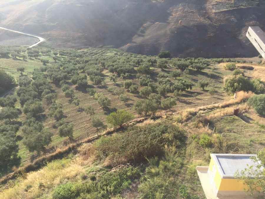 APT PANORAMICO ROMEO