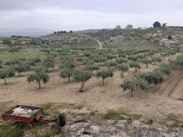 TERRENO PANORAMICO BUTTAFUOCO – SICULIANA (AG)