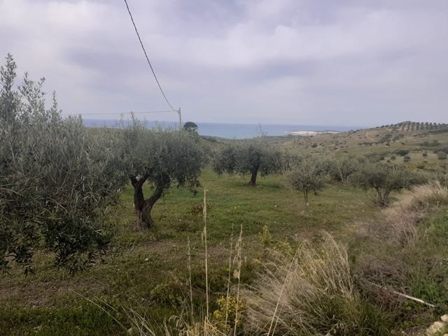 TERRENO PANORAMICO BUTTAFUOCO – SICULIANA (AG)