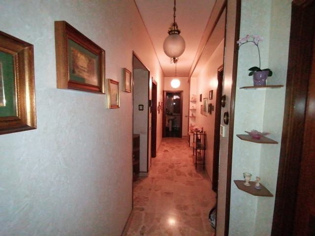 APT SPOTO – CORSO CINQUEMANI ARCURI