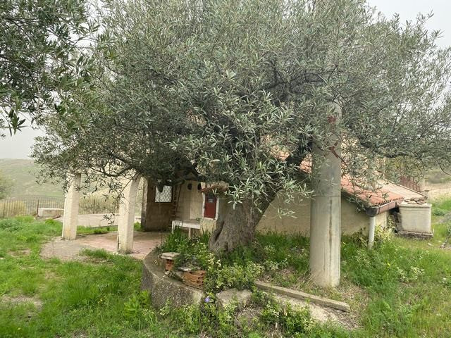 HOUSE AND LAND PIERO - CDA MAURELLO, ALESSANDRIA DELLA ROCCA (AG)