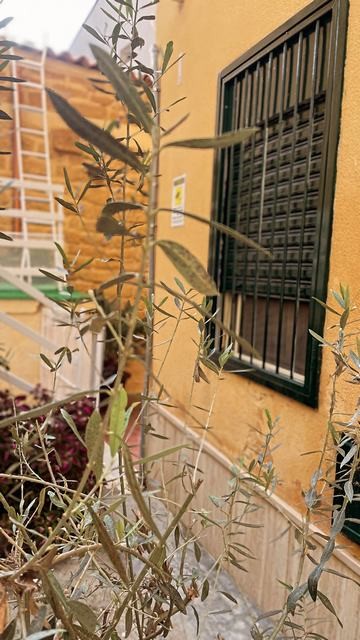 APT MINA – AGRIGENTO