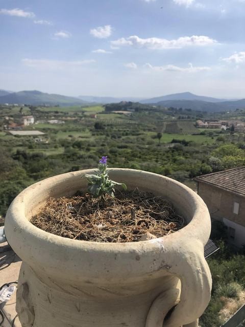 CASA PANORAMICA NUNZIA