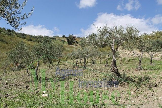 HOUSE AND LAND GIUSEPPE CONTRADA QUARTO DI ROCCHI - PROPERTY IN SICILY