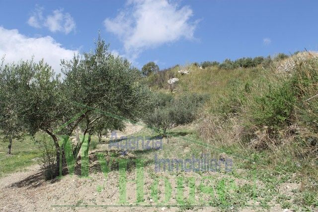 HOUSE AND LAND GIUSEPPE CONTRADA QUARTO DI ROCCHI - PROPERTY IN SICILY