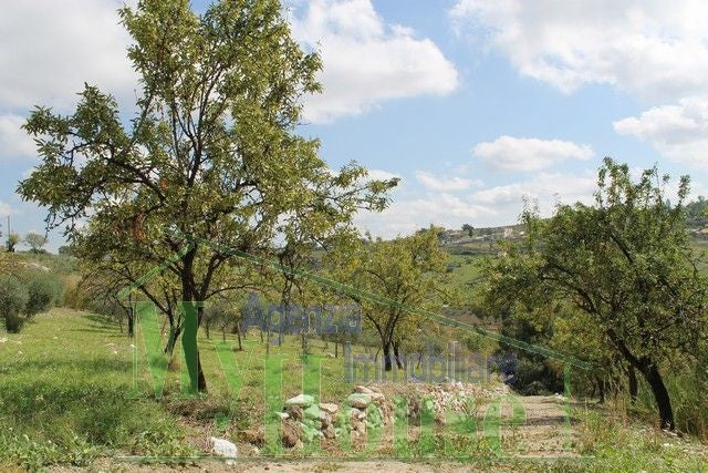 HOUSE AND LAND GIUSEPPE CONTRADA QUARTO DI ROCCHI - PROPERTY IN SICILY