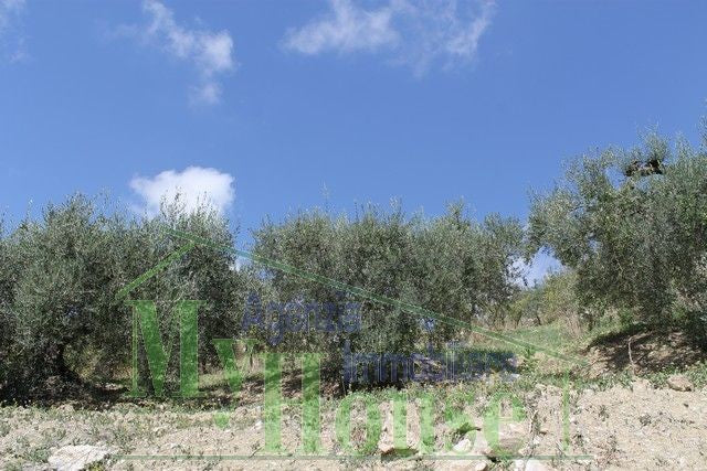 HOUSE AND LAND GIUSEPPE CONTRADA QUARTO DI ROCCHI - PROPERTY IN SICILY