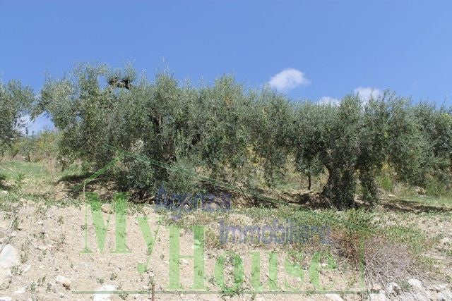 HOUSE AND LAND GIUSEPPE CONTRADA QUARTO DI ROCCHI - PROPERTY IN SICILY