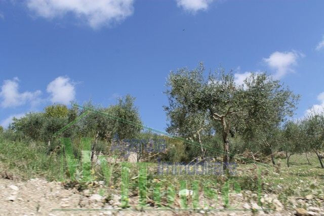 HOUSE AND LAND GIUSEPPE CONTRADA QUARTO DI ROCCHI - PROPERTY IN SICILY