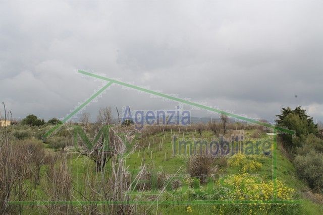 TERRENO SPOTO ALESSDANDRIA DELLA ROCCA