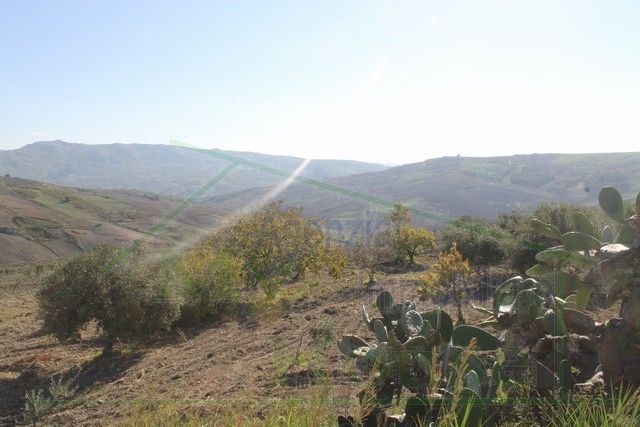 HOUSE AND LAND PENDINO - CONTRADA CINIE', PROPERTY IN SICILY
