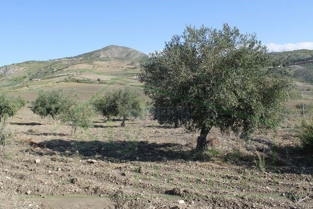 HOUSE AND LAND PENDINO - CONTRADA CINIE', PROPERTY IN SICILY