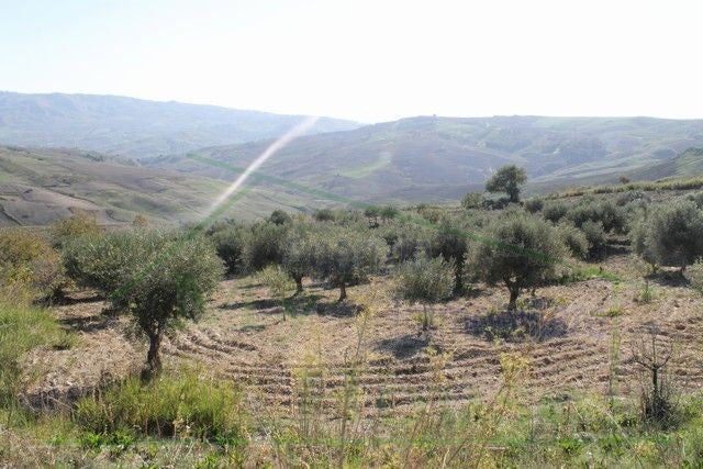 HOUSE AND LAND PENDINO - CONTRADA CINIE', PROPERTY IN SICILY