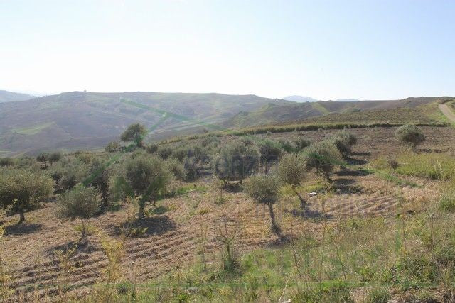 HOUSE AND LAND PENDINO - CONTRADA CINIE', PROPERTY IN SICILY
