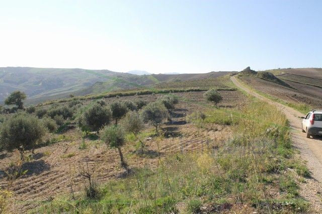 HOUSE AND LAND PENDINO - CONTRADA CINIE', PROPERTY IN SICILY