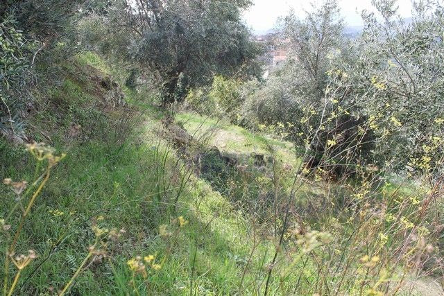 FABBRICATO RURALE E TERRENO CDA MARULLO