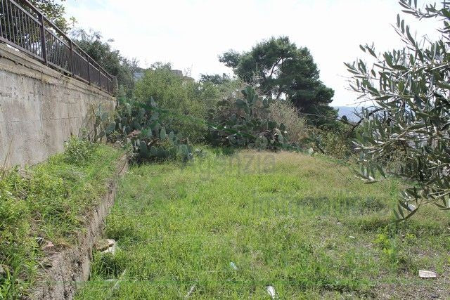 FABBRICATO RURALE E TERRENO CDA MARULLO
