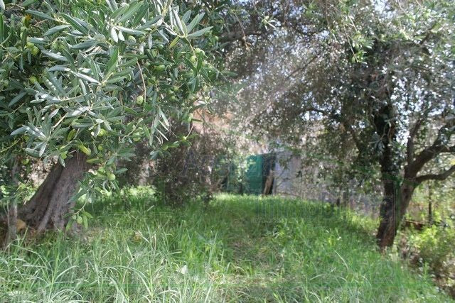 FABBRICATO RURALE E TERRENO CDA MARULLO