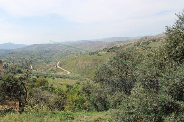 FABBRICATO RURALE E TERRENO CDA MARULLO