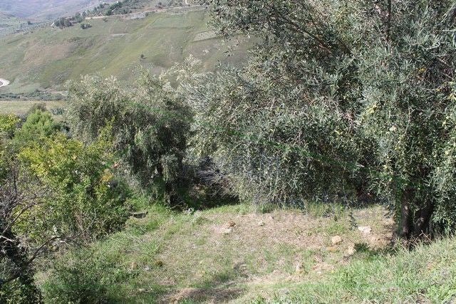 FABBRICATO RURALE E TERRENO CDA MARULLO