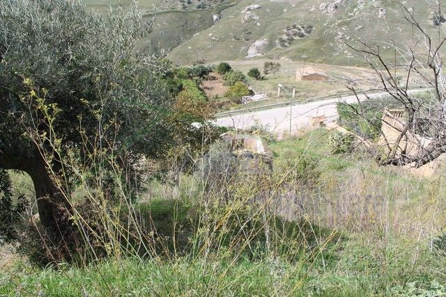 FABBRICATO RURALE E TERRENO CDA MARULLO
