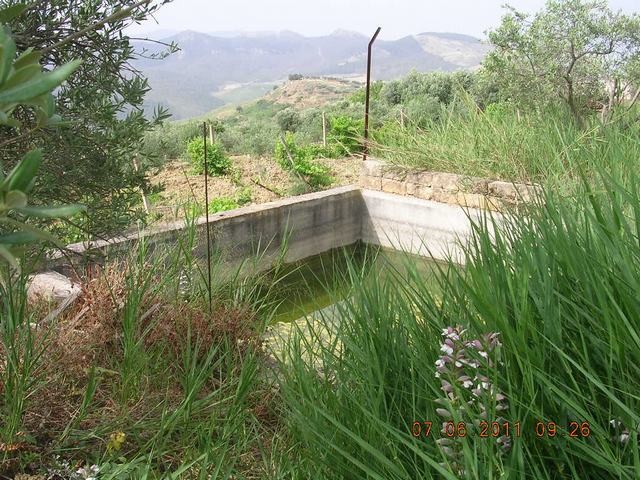 TERRENO SALVO CONTRADA CALDARELLE