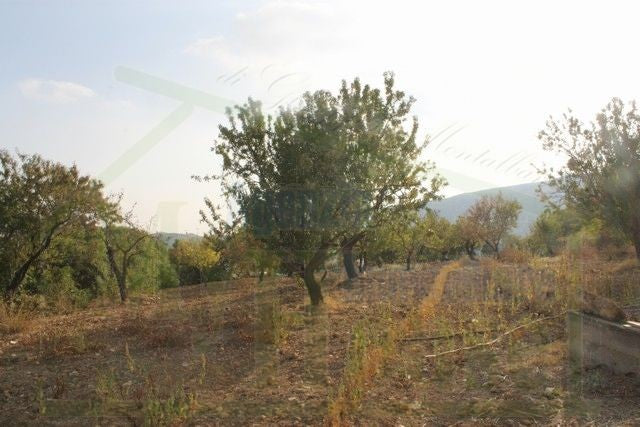 HOUSE AND LAND MICHELE – CDA CASTELLACCIO - PROPERTY IN SICILY