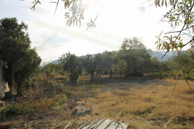HOUSE AND LAND MICHELE – CDA CASTELLACCIO - PROPERTY IN SICILY