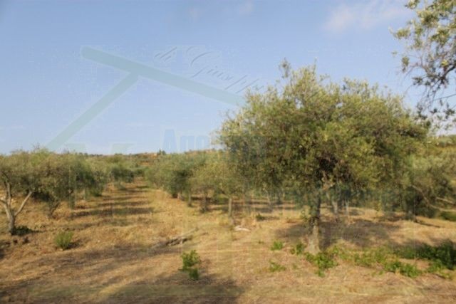 HOUSE AND LAND MICHELE – CDA CASTELLACCIO - PROPERTY IN SICILY