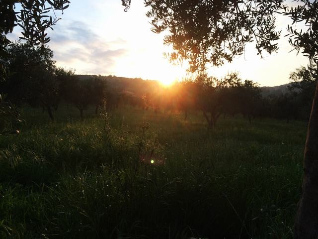 VILLA VITO - CONTRADA MENNOLA