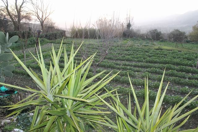 HOUSE AND LAND LAZARA - SANTO STEFANO QUISQUINA (AG)