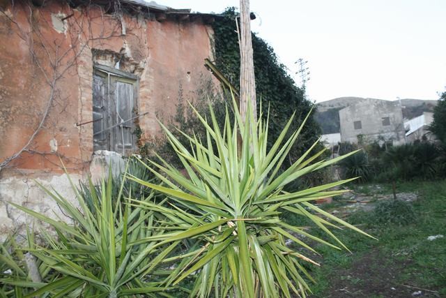 HOUSE AND LAND LAZARA - SANTO STEFANO QUISQUINA (AG)