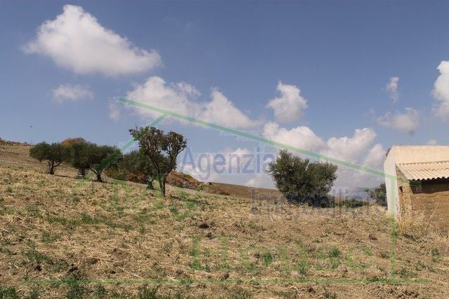 HOUSE AND LAND PARRINO IN CONTRADA CABIBI (ALESSANDRIA)
