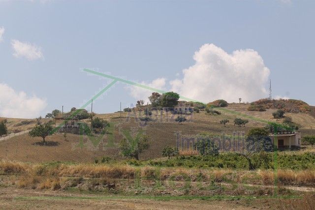 HOUSE AND LAND PARRINO IN CONTRADA CABIBI (ALESSANDRIA)