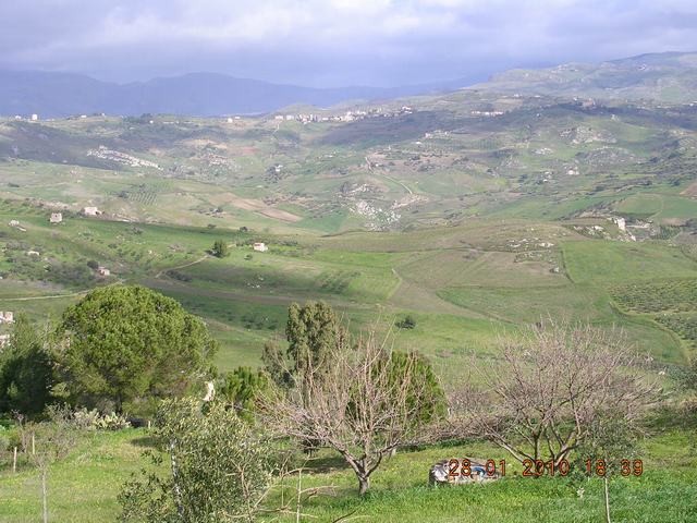 TERRENO PACE CONTRADA PETRARO