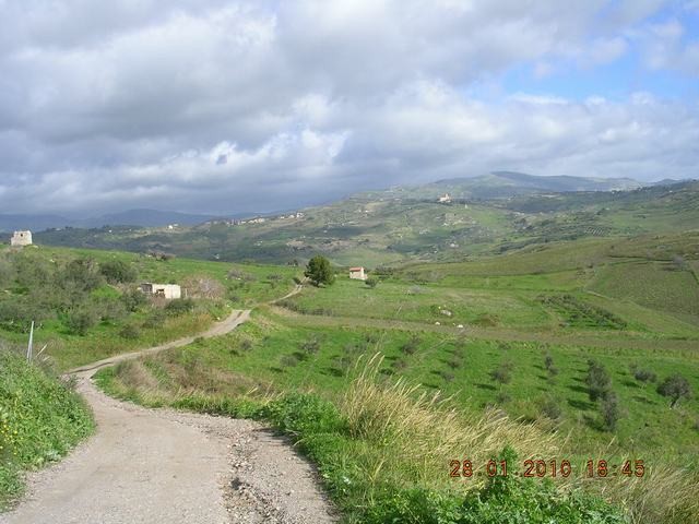 TERRENO PACE CONTRADA PETRARO