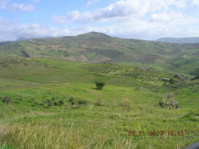 TERRENO PACE CONTRADA PETRARO