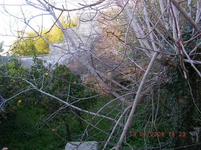 HOUSE WITH GARDEN RE VIA FIDANZA - PROPERTY IN SICILY