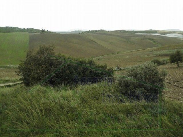 CASA COLONICA LEANDRA - PROPERTY IN SICILY