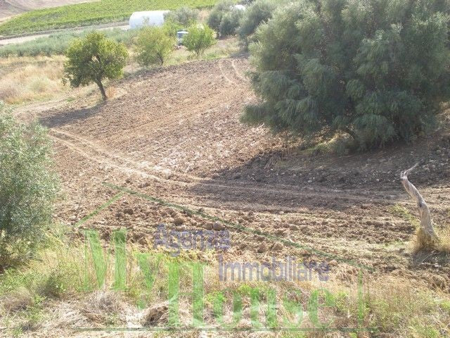 CASA COLONICA LEANDRA - PROPERTY IN SICILY