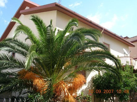 PALAZZINA CON GIARDINO VIA S.AMBROGIO - OCCASIONE