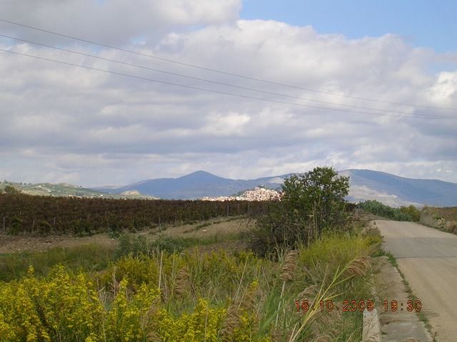 HOUSE AND LAND GAGLIANO BISSANA - PROPERTY IN SICILY