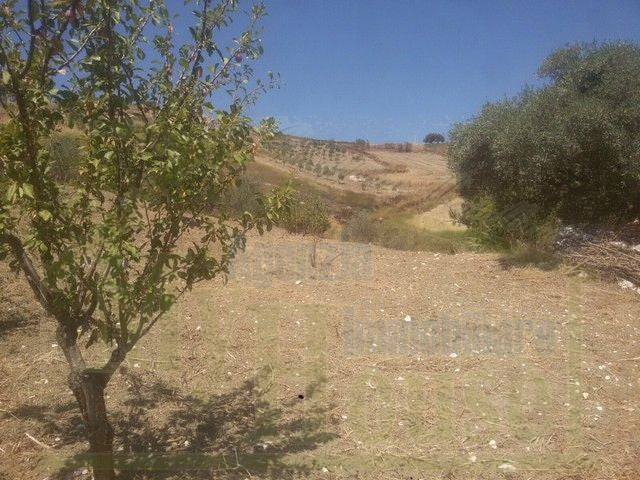 TERRENO VACCARO – CONTRADA QUARTO ROCCHI