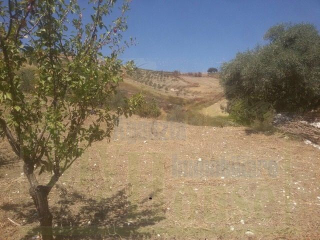 TERRENO VACCARO – CONTRADA QUARTO ROCCHI