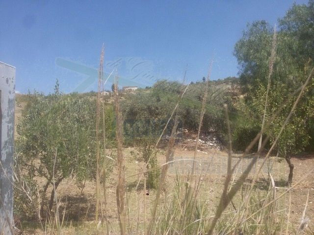 TERRENO VACCARO – CONTRADA QUARTO ROCCHI