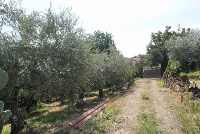 VILLA COCCHIARA - CALAMONACI