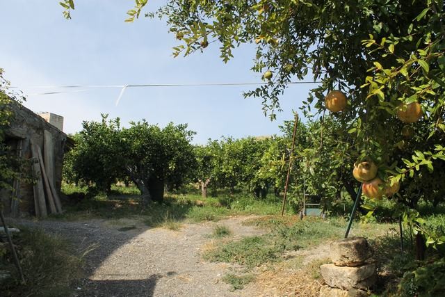 VILLA COCCHIARA - CALAMONACI