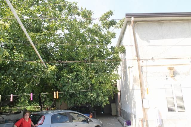 VILLA COCCHIARA - CALAMONACI