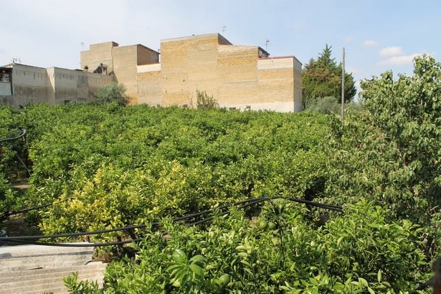 VILLA COCCHIARA - CALAMONACI