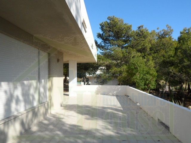 PRESTIGIOSA VILLA A SECCGRANDE